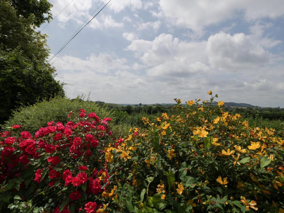 Wheelbarrow Cottage Stoke Prior エクステリア 写真